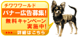 �o�i�[�L����W�I